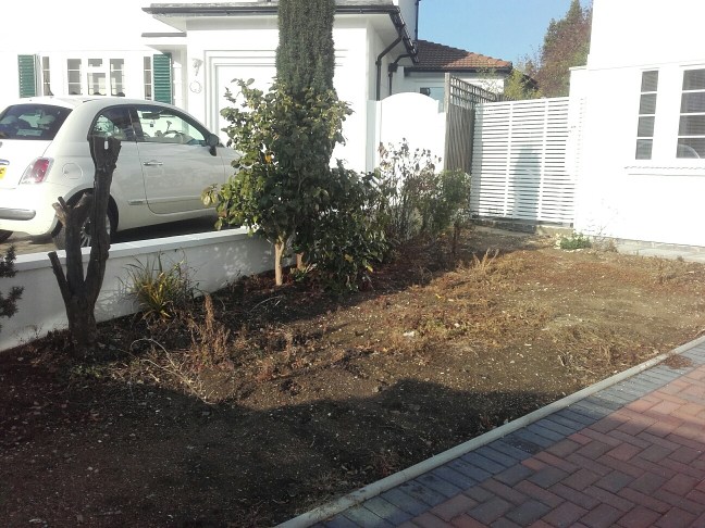 20161111_133900_resized